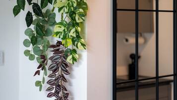 Apartment 6, Sleeps 3 | Individually decorated, individually furnished, free cribs/infant beds