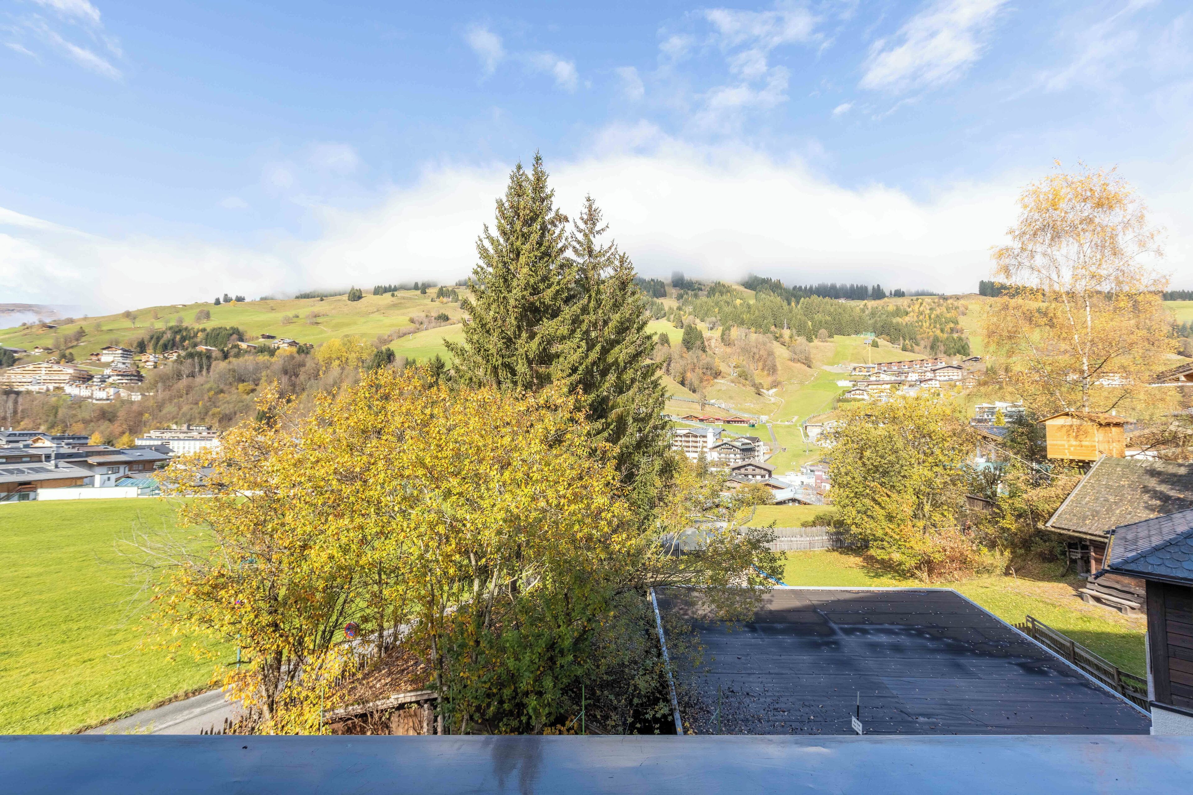 A view of a residential area with houses, a large coniferous tree, and a clear sky.