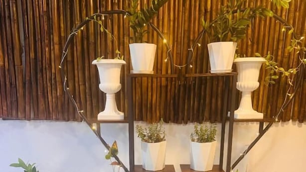 Un présentoir à plusieurs niveaux pour plantes, avec différentes plantes en pot, le tout placé devant un décor en bambou.