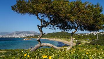 Apartemen | 16 kamar tidur