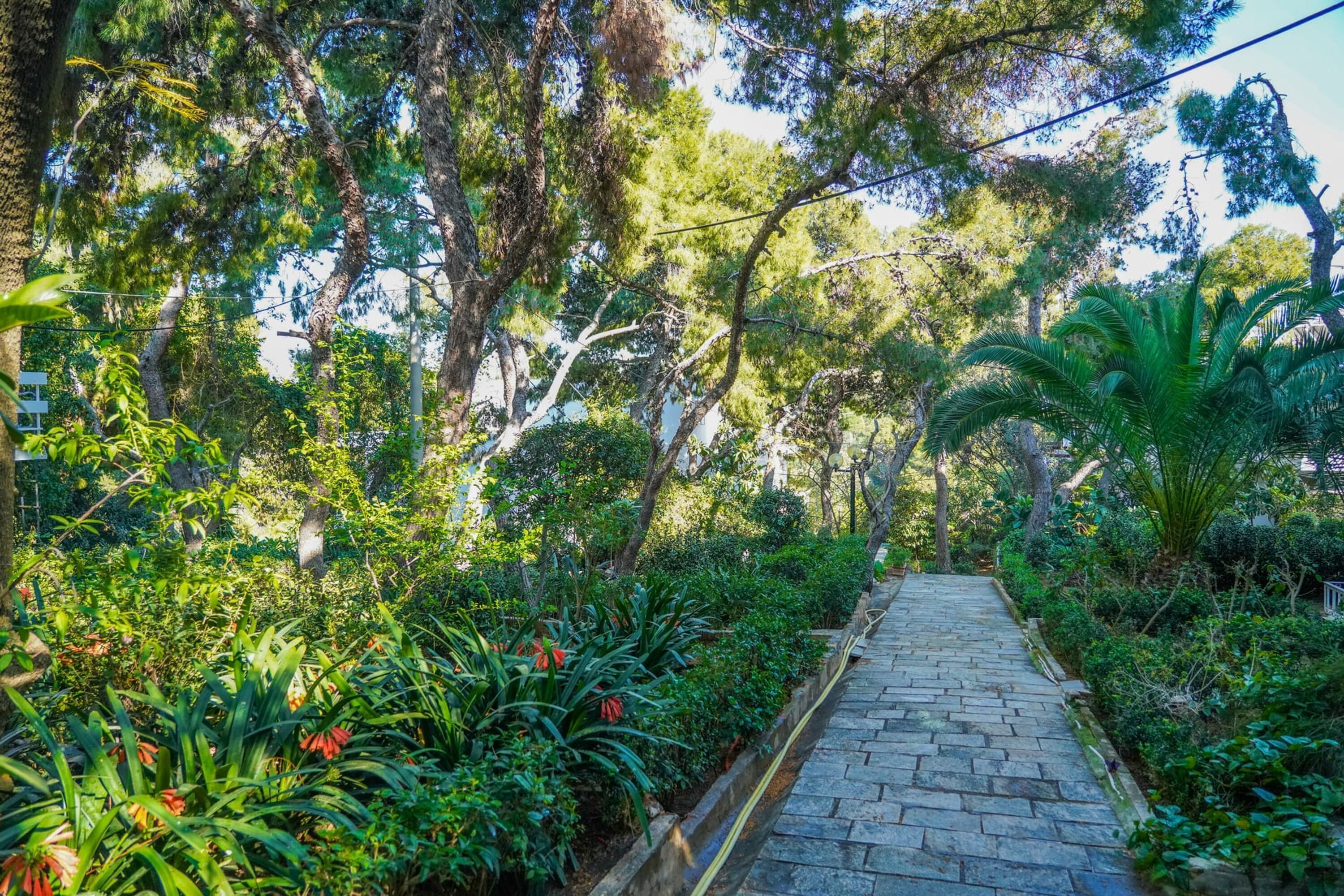 Lägenhet | 16 sovrum