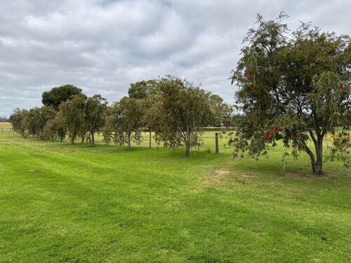 Poona Farm Estate - Caravan & Camping