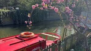 Un bote rojo amarrado junto a una cerca de madera con un letrero que dice "DOROTHY".
