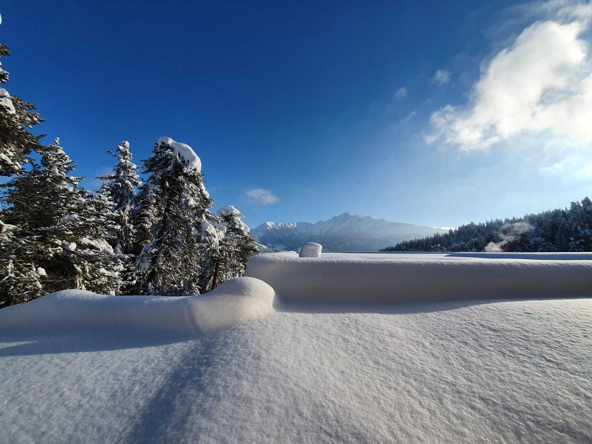 Paisagem nevada com árvores cobertas de neve e uma cordilheira ao fundo.