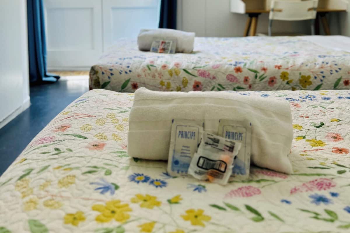 Twin Room, Balcony, City View | Free WiFi