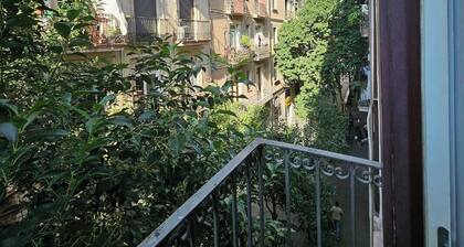 Central and Basic Universitat