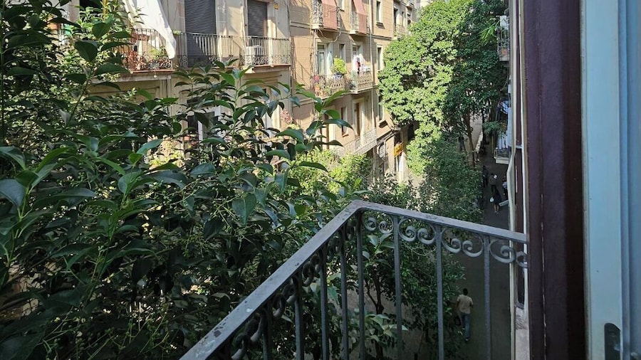 Central and Basic Universitat