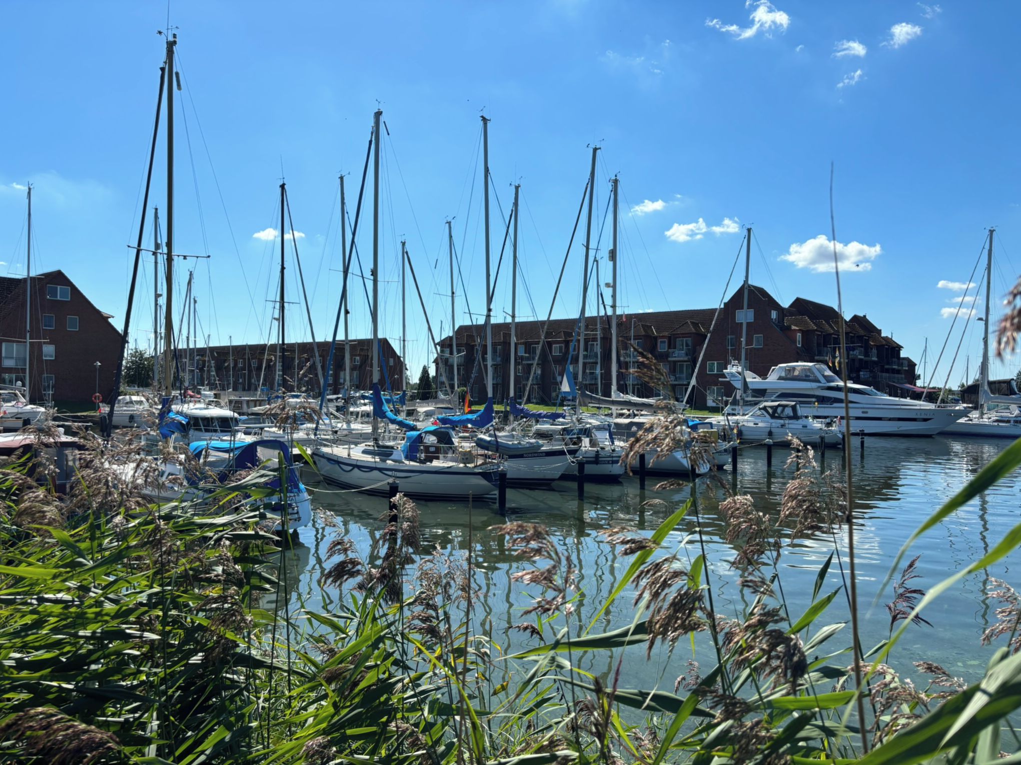 Un port de plaisance où sont amarrés de nombreux bateaux, entouré de bâtiments et de végétation.