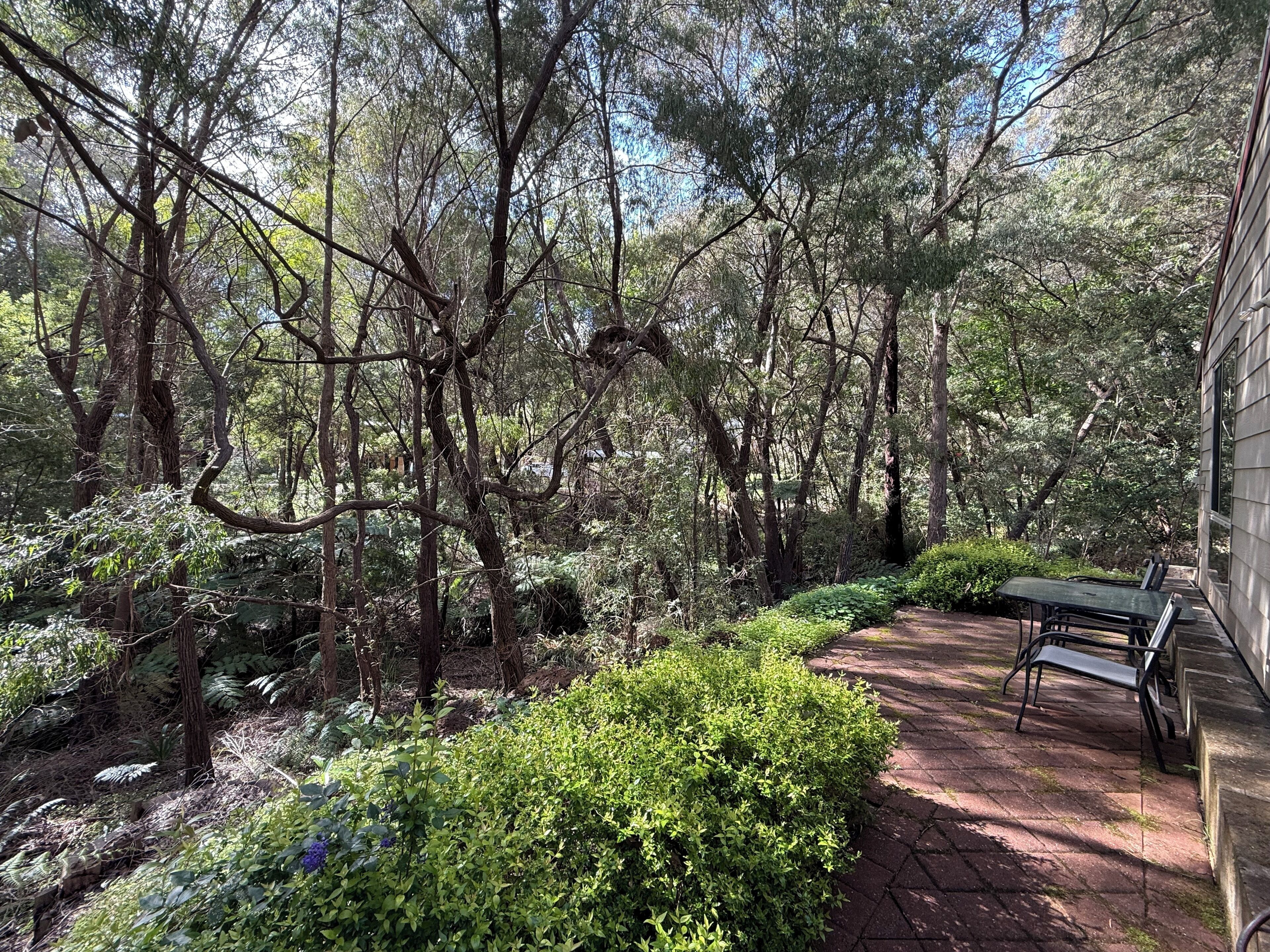 تناول الطعام بالخارج