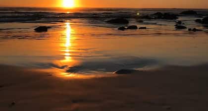 Arcadia Cottage in the Forrest in Town