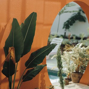 A room with large green leaves, a small potted plant, and a reflective surface. - Nazaara Hills Retreat (Udaipur)