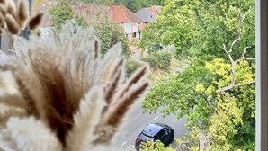 Une vue à travers une fenêtre, avec un ciel dégagé, des arbres et des maisons en arrière-plan.