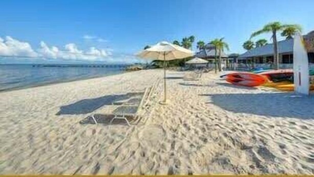 Een strand met een heldere lucht, enkele parasols en ligbedden.