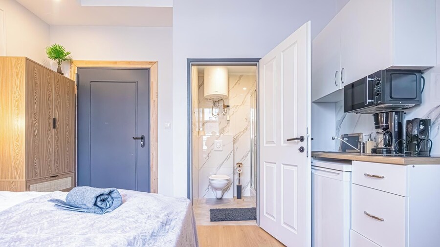 9BR Apts in the Heart of Vienna