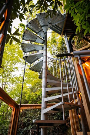 Property grounds - NEW Cliffside Unique Stay | Hot Tub | Steam Shower (Beattyville)