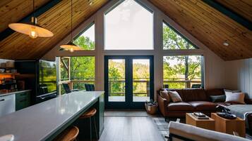 TV, fireplace, books