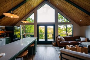 TV, fireplace, books