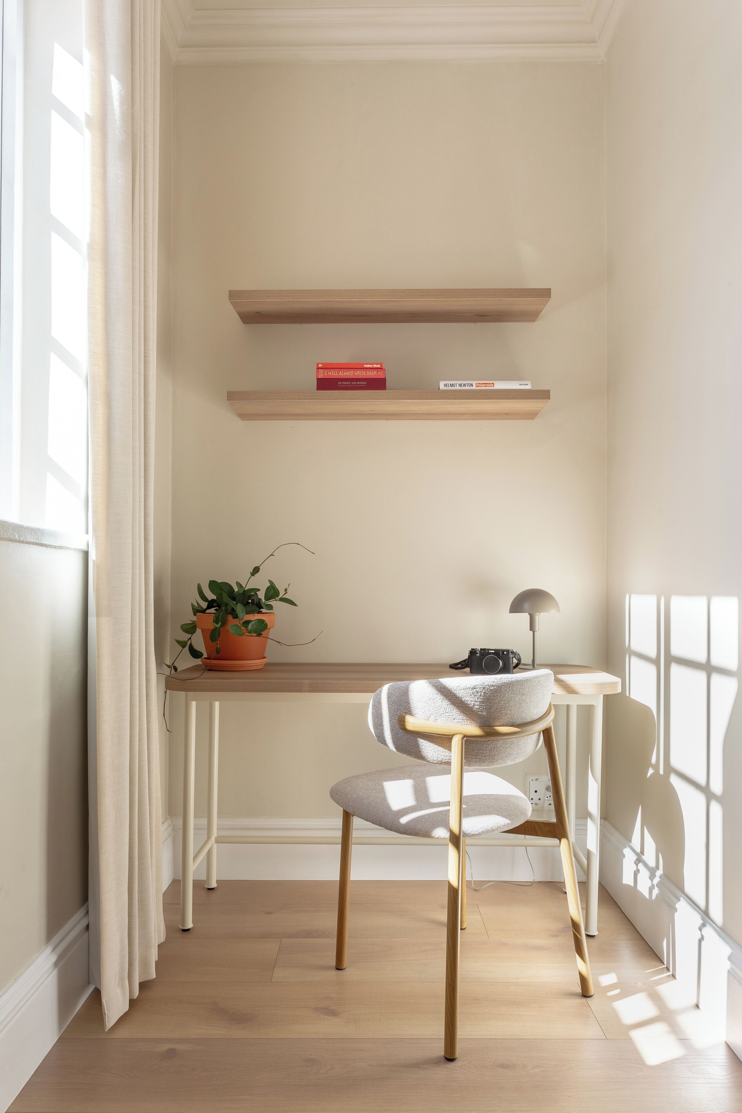 A room with a desk, chair, potted plant, and shelves with books.