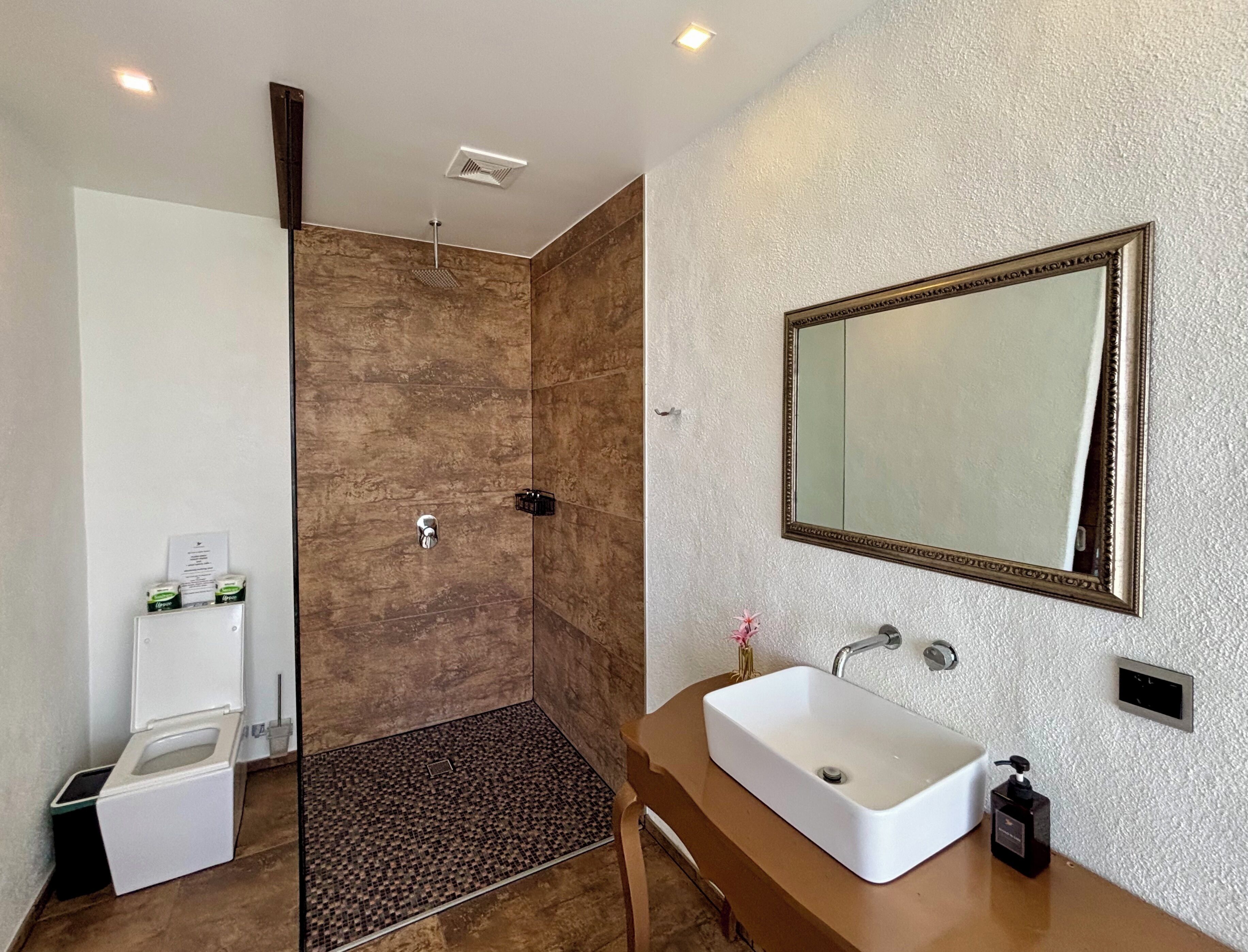 Hair dryer, towels, soap, toilet paper