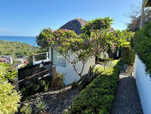 A residential property with a view of the ocean, a thatched roof structure, and a garden with various plants.