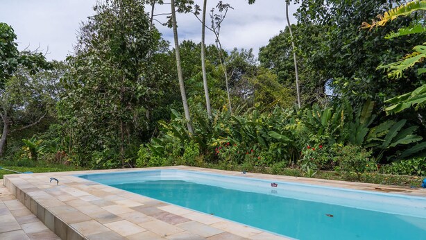 Ein rechteckiger Pool mit Fliesenverkleidung, umgeben von dichtem tropischen Grün und Bäumen.