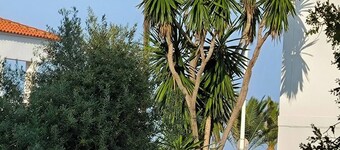 Ideal apartment to disconnect