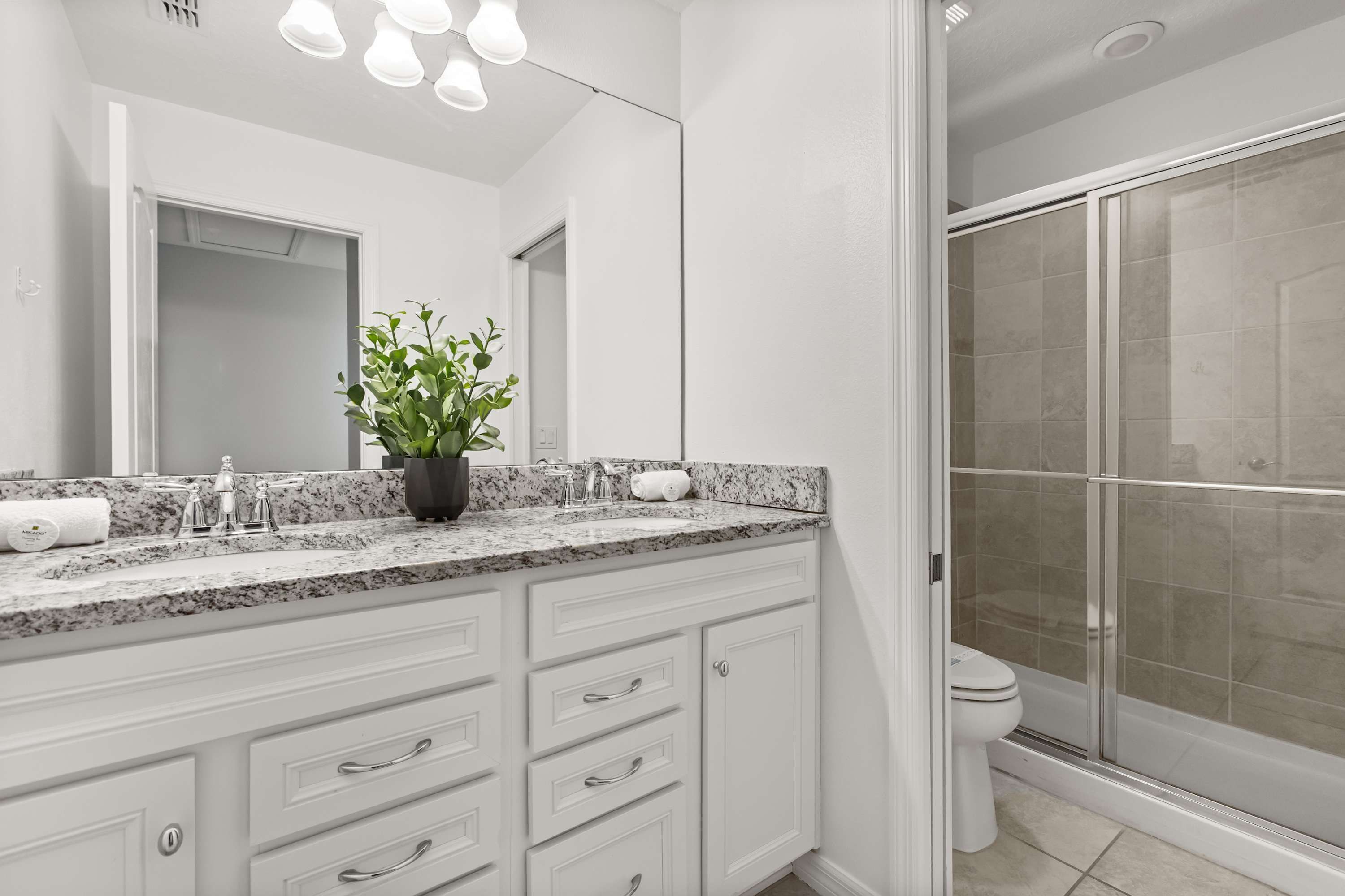 A modern bathroom with a granite countertop, white cabinetry, a potted plant, and a glass-enclosed shower.