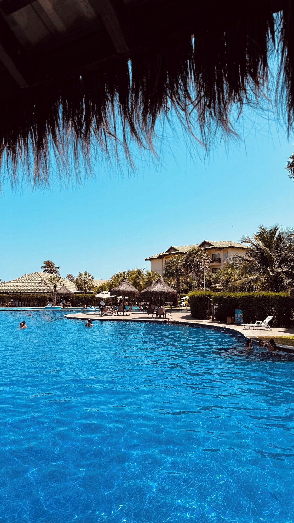 オーナーのプロフィール画像