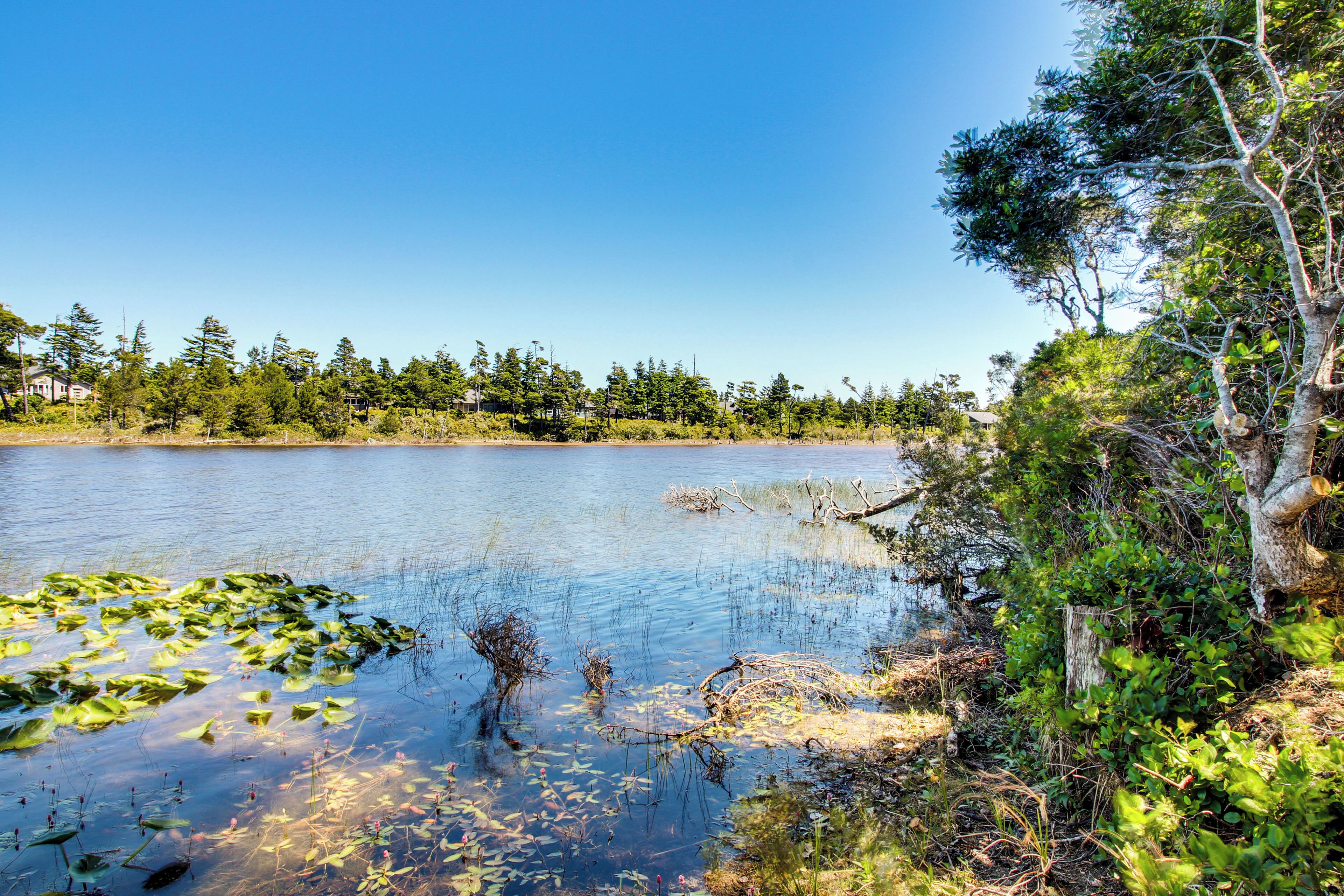 A natural landscape with a lake, surrounded by dense trees and vegetation.