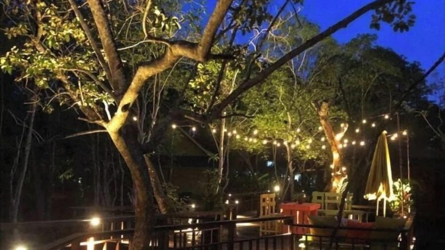 アピアピ エコ リゾート