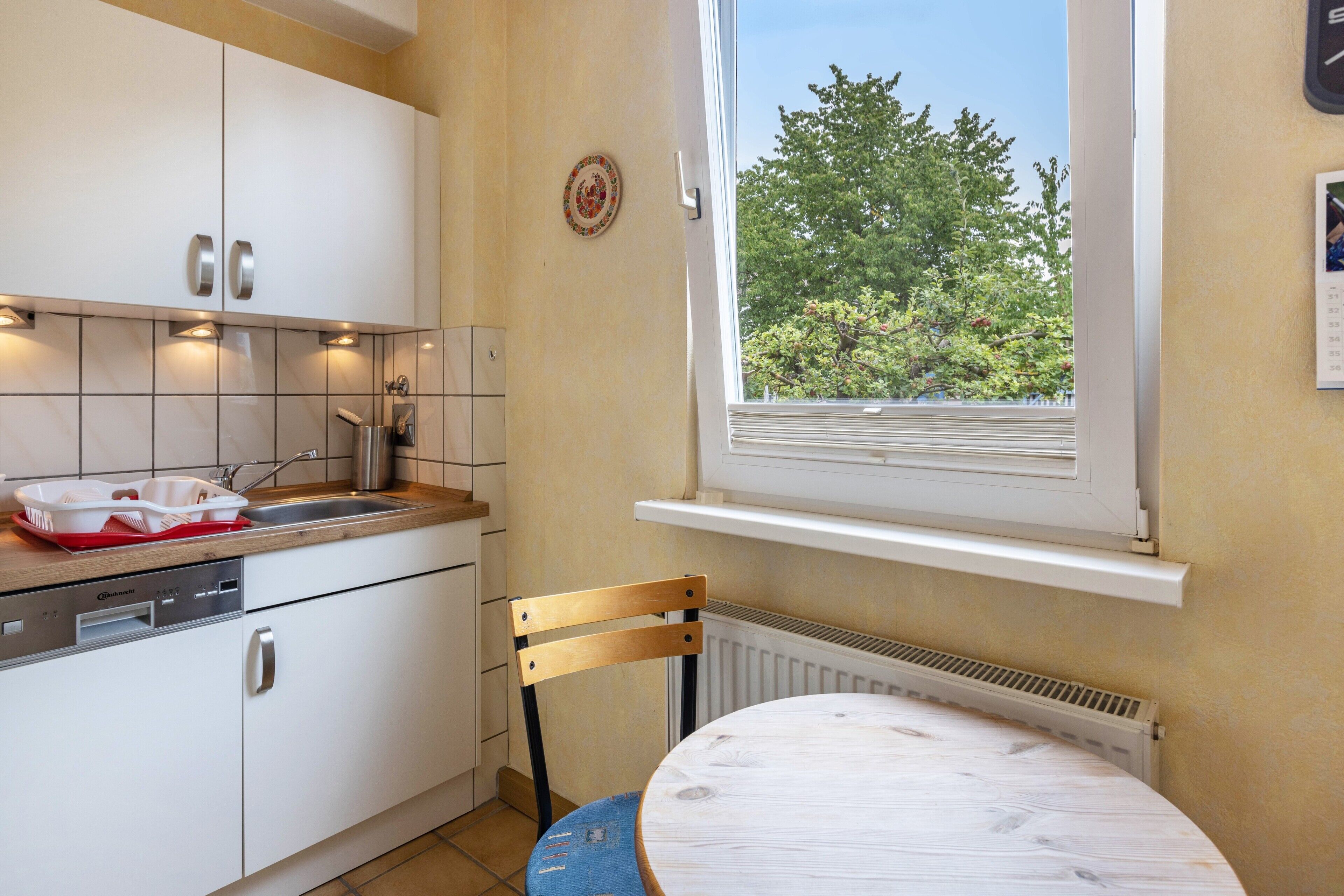 Coffee/tea maker, oven, stovetop, dishwasher