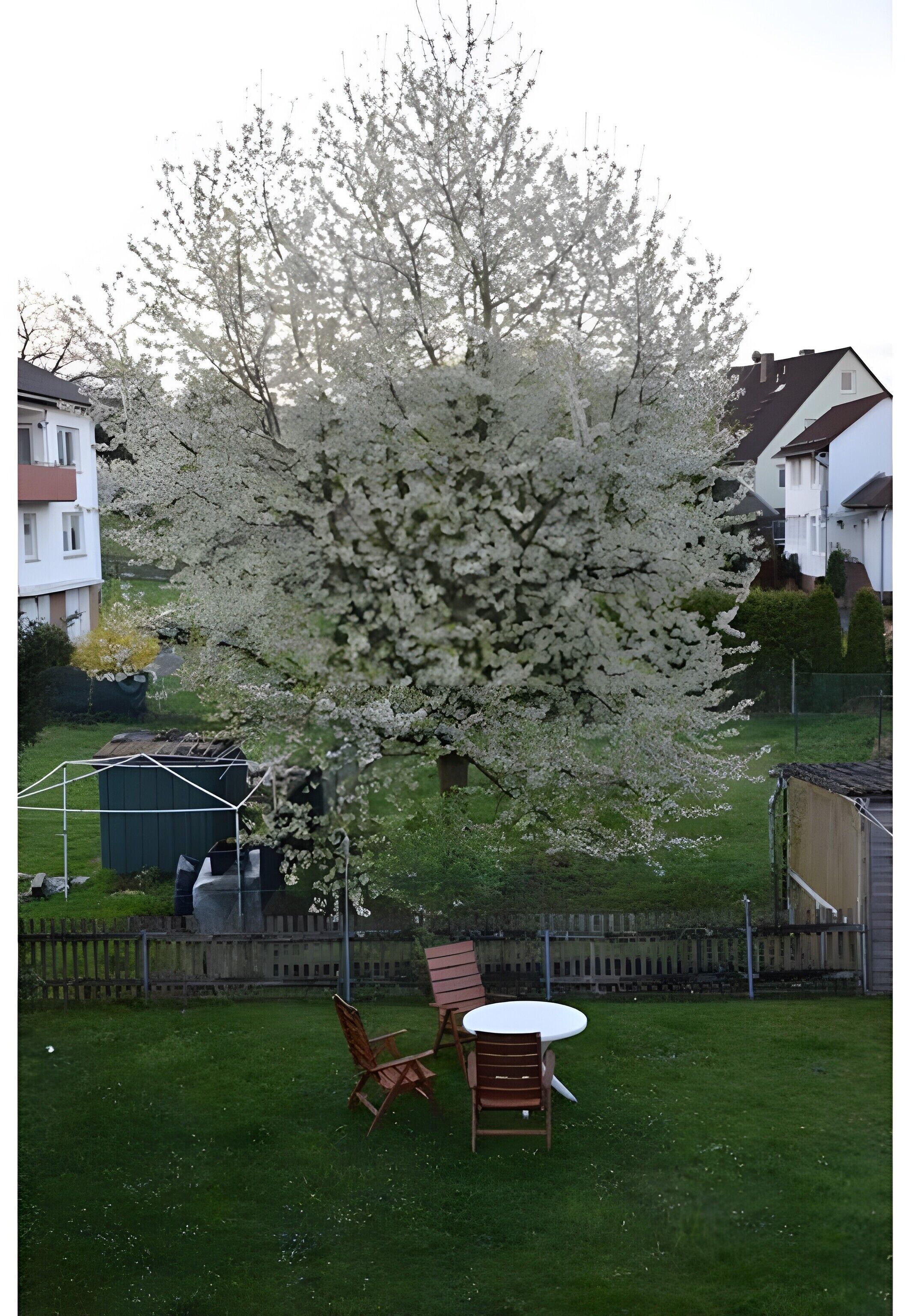 Terrain de l’hébergement 