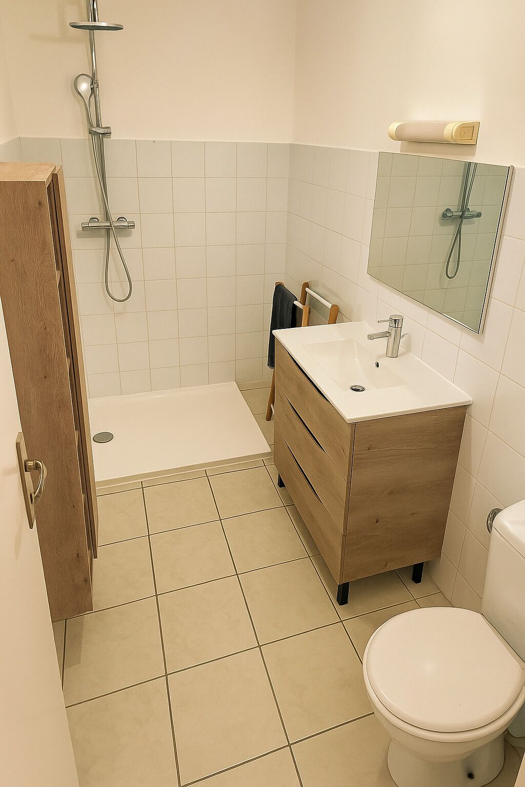 Shower, towels, toilet paper