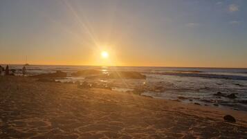 Playa en los alrededores y camastros
