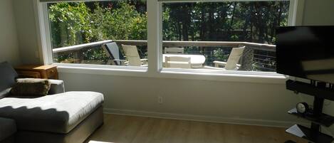 Smart TV, DVD player