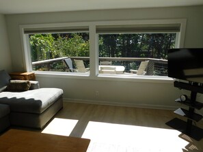 Smart TV, DVD player