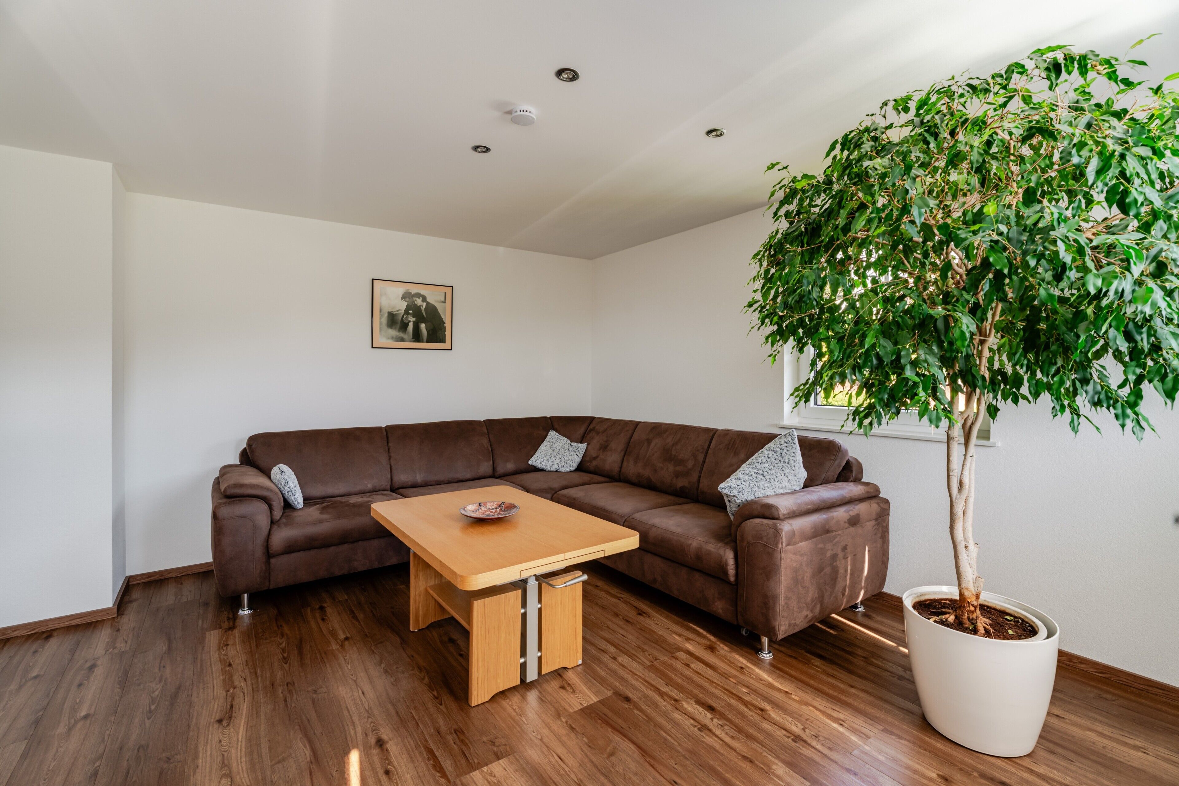 Uma sala de estar moderna com um sofá de couro marrom, uma mesa de centro de madeira, uma árvore em vaso e um quadro na parede.