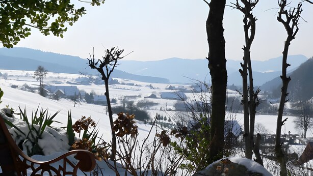 A bench overlooking a snowy landscape with bare trees and distant houses. - Apartment Ritter with Panoramic Valley View and Private Terrace (Oberharmersbach)