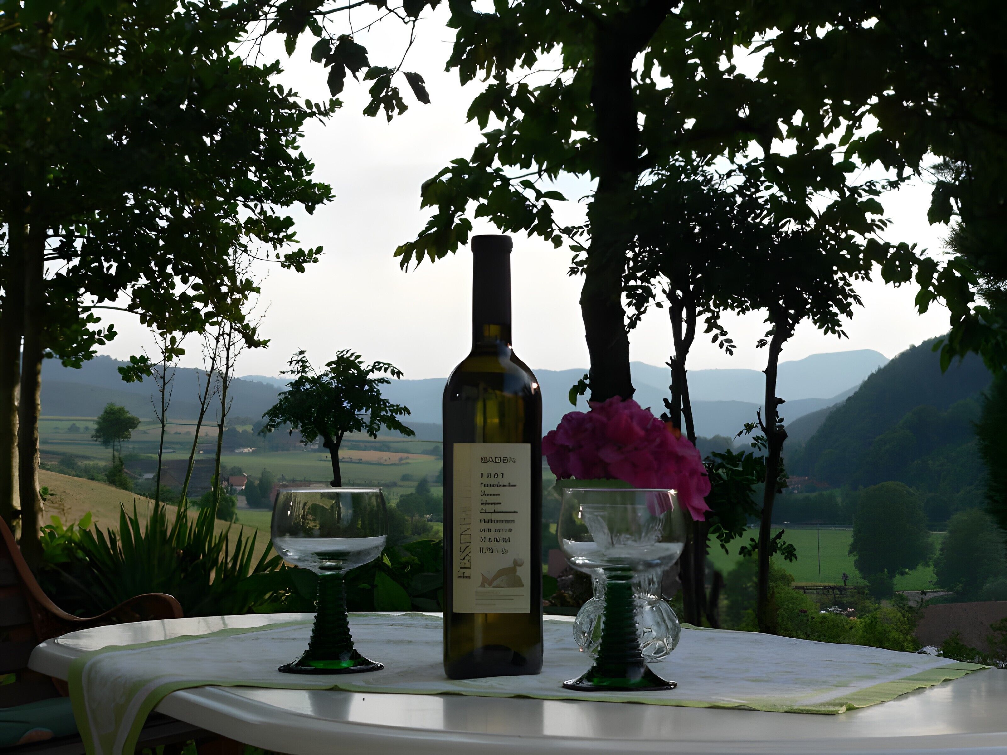 Mesa com uma garrafa e dois copos, montada ao ar livre com vista para colinas e árvores.