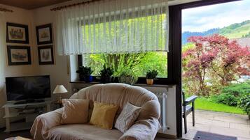 Fernseher, DVD-Player, Stereoanlage