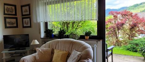 Een televisie, een dvd-speler en een stereo