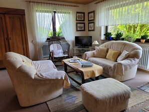 تلفزيون، مشغل دي في دي، ستيريو