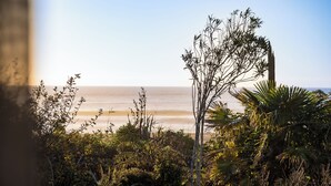 A coastal landscape with dense vegetation and a view of the ocean. - The Sundowner Beach Club (Hokitika)