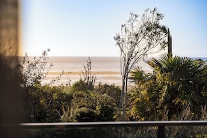 A coastal landscape with dense vegetation and a view of the ocean.