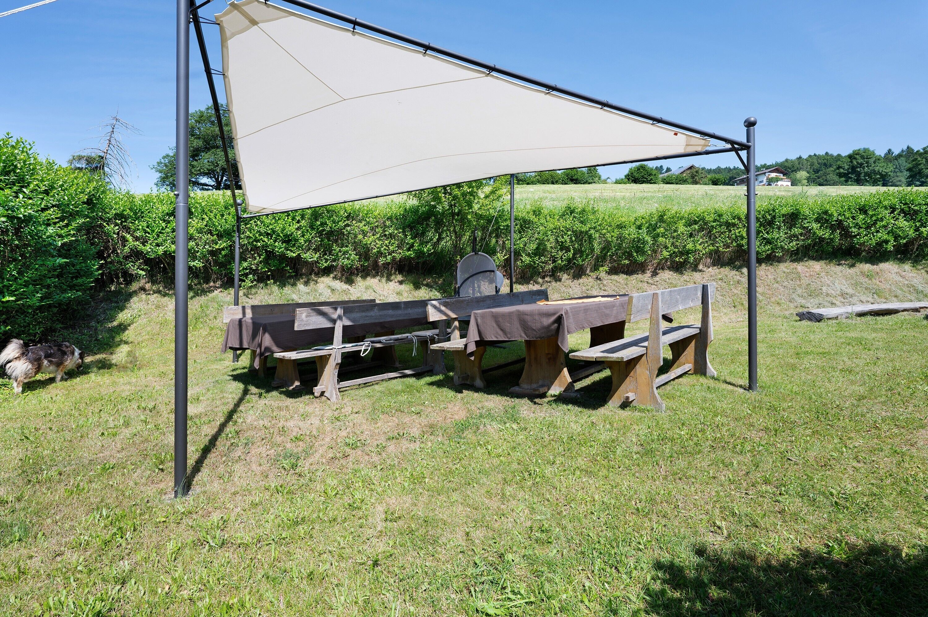 An outdoor picnic setup with a table and benches under a canopy, surrounded by greenery.