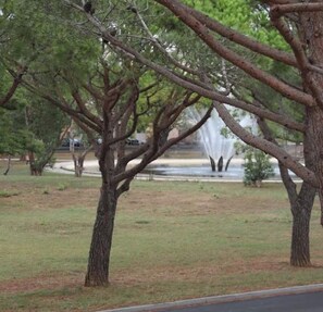 المنطقة المحيطة بالمنشأة