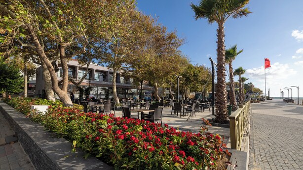 A paved outdoor seating area with tables and chairs, surrounded by lush greenery and red flowers. - Tek Hotel Murefte (Şarköy)