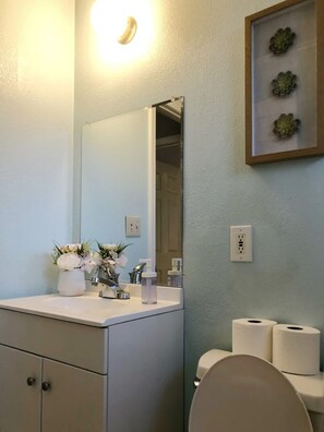 House (2 Bedrooms) | Bathroom