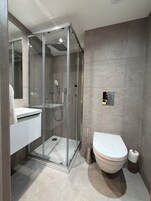 A modern bathroom with a glass-enclosed shower, a white sink, and a toilet.