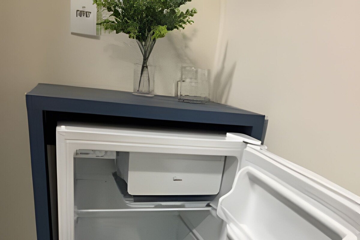 An open refrigerator with a glass top and a small plant on top.